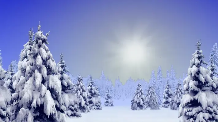 Winter Wonderland Free android App screenshot 3