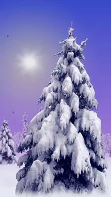 Winter Wonderland Free android App screenshot 7